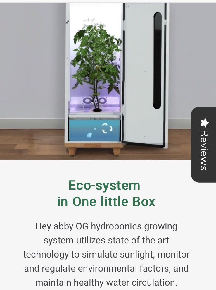 Abby Grow Box OG