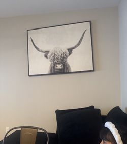 Cow Bull Picture Frame