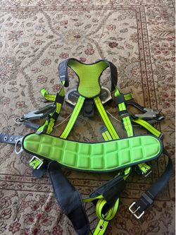 Scaffold harness