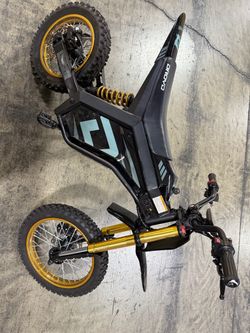 Droyd Beserker E Bike