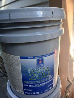 Indoor Eggshell Paint