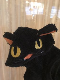A CAT costume for the dog size medium