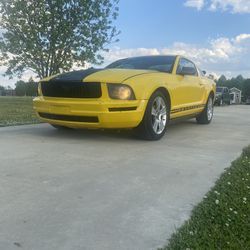 05 Ford Mustang 