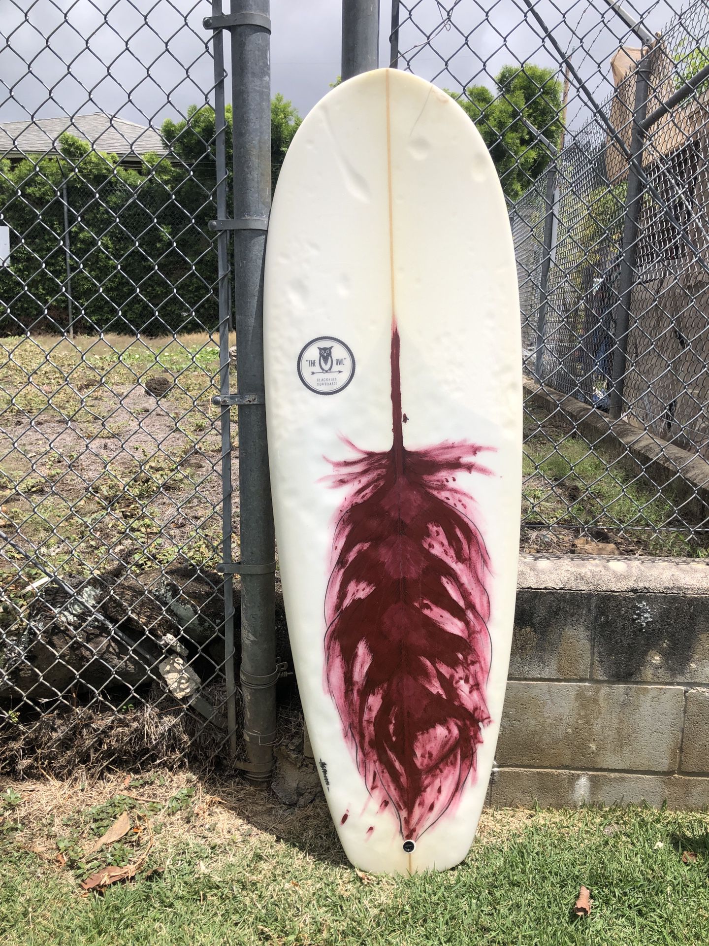 Blackbird Surfboards Owl 5’2” x 20.5” x 2” 
