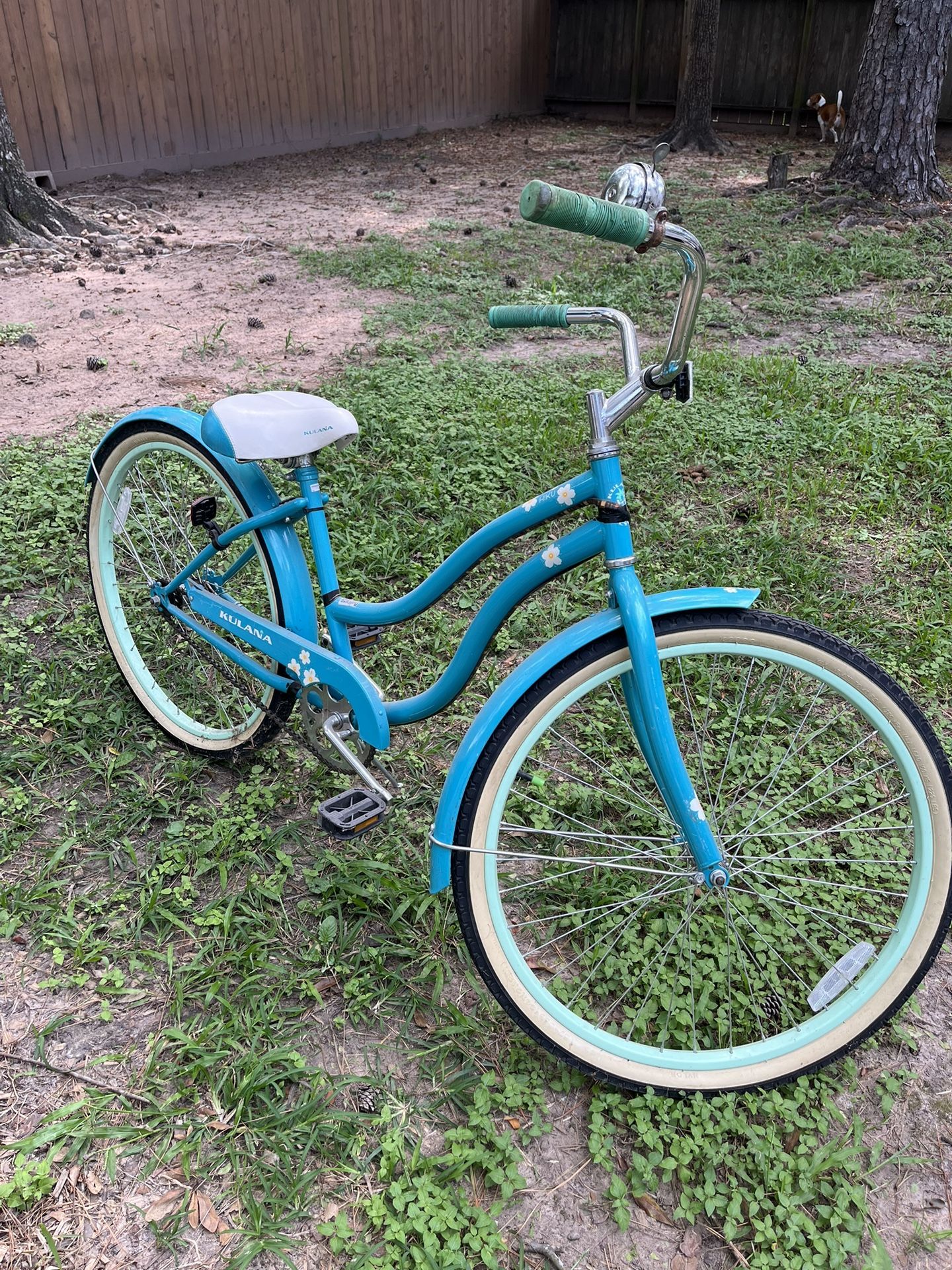 Cruiser Bicycle