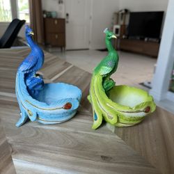 Peacock Succulent Pots