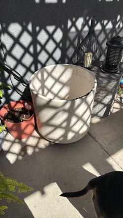 Large planter