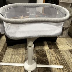 Halo Bassine