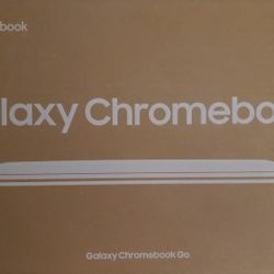 Chromebook GO Laptop. 14"