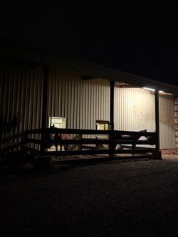 Horse boarding in Gresham OR
