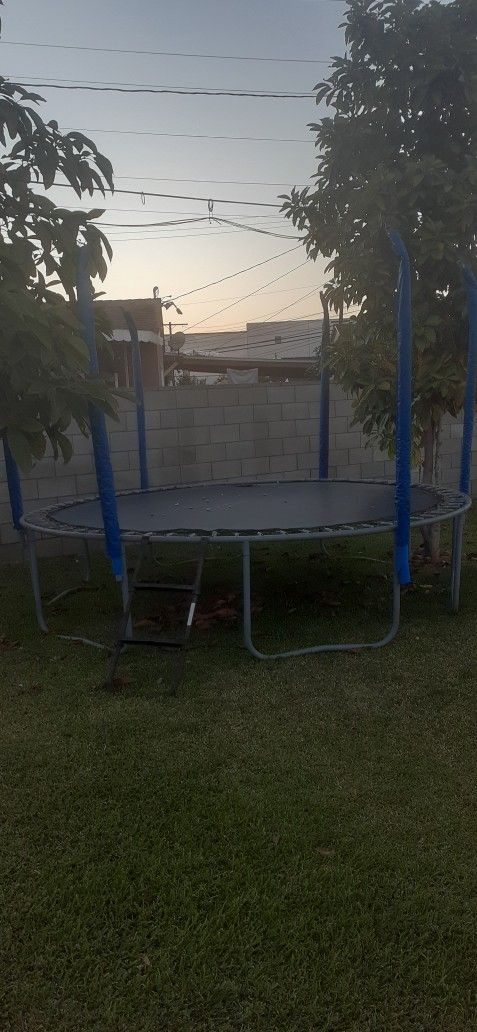 trampolin  Free, free