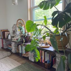 Handmade Oak bookshelf