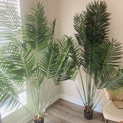 Fake Plants