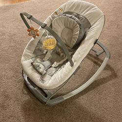 Baby Bouncer