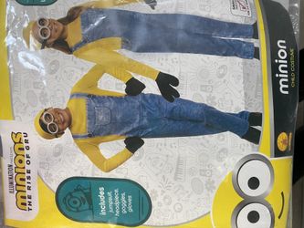 New Minion Costume