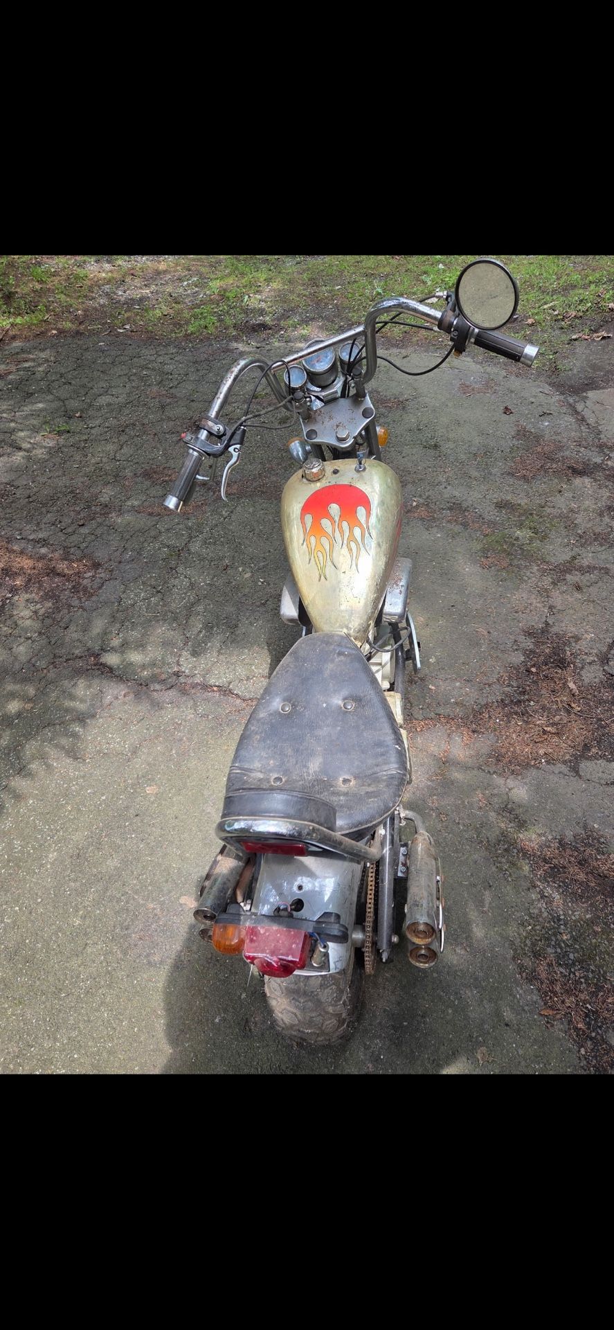 Mini Hog