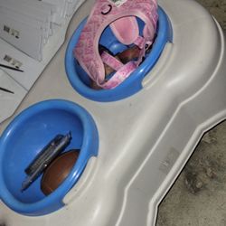Dogs Bowls 