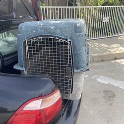 dog cage