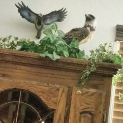 Porcelain Statues Eagles Doves Hummingbirds All $90 Each Perfect