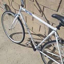 Single Speed/Track Bycicle