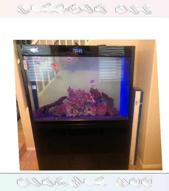 there indeed Full Aquarium Tank - Spacious & Eye-Catching