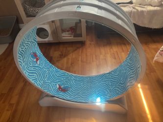 Cat wheel