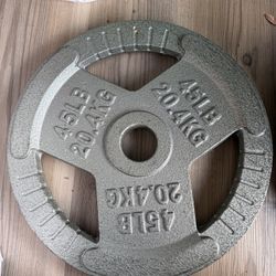 Single 45 Lb Plate Weight