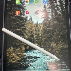 11 in IPad Pro 64 Gig