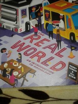 Real World Intoduction To Sociology Book