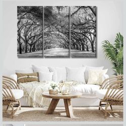 3 Piece Black and White Tree Wall Art for Home Wall Decor Large Modern Nature Picture Prints Canvas Artwork of Oak Lined Road at Historic Wormsloe Pla