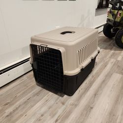 Kennel