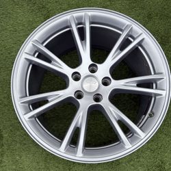 Tesla Model Y Rim 19