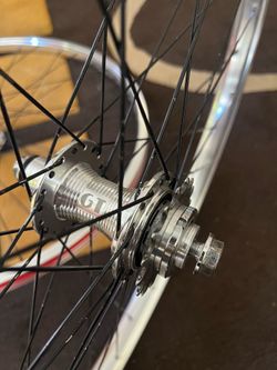 29” GT BMX rims