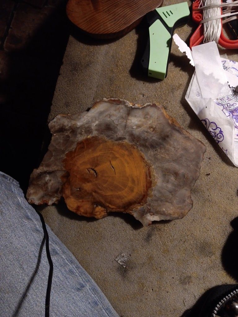 Petrified