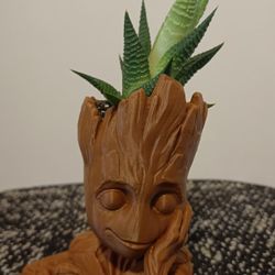 Groot Planter with Succulent