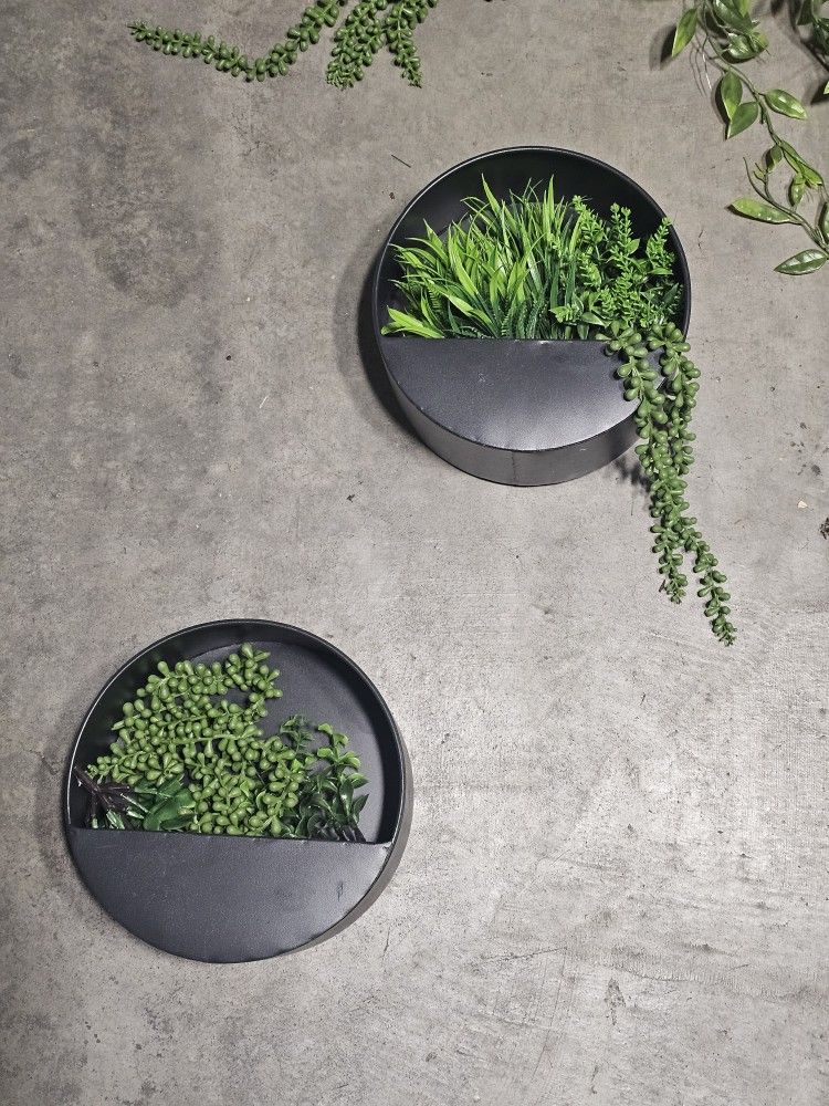 Wall Plant Decoration