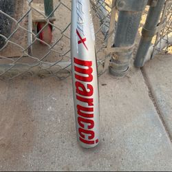 Cat X Composite Usssa