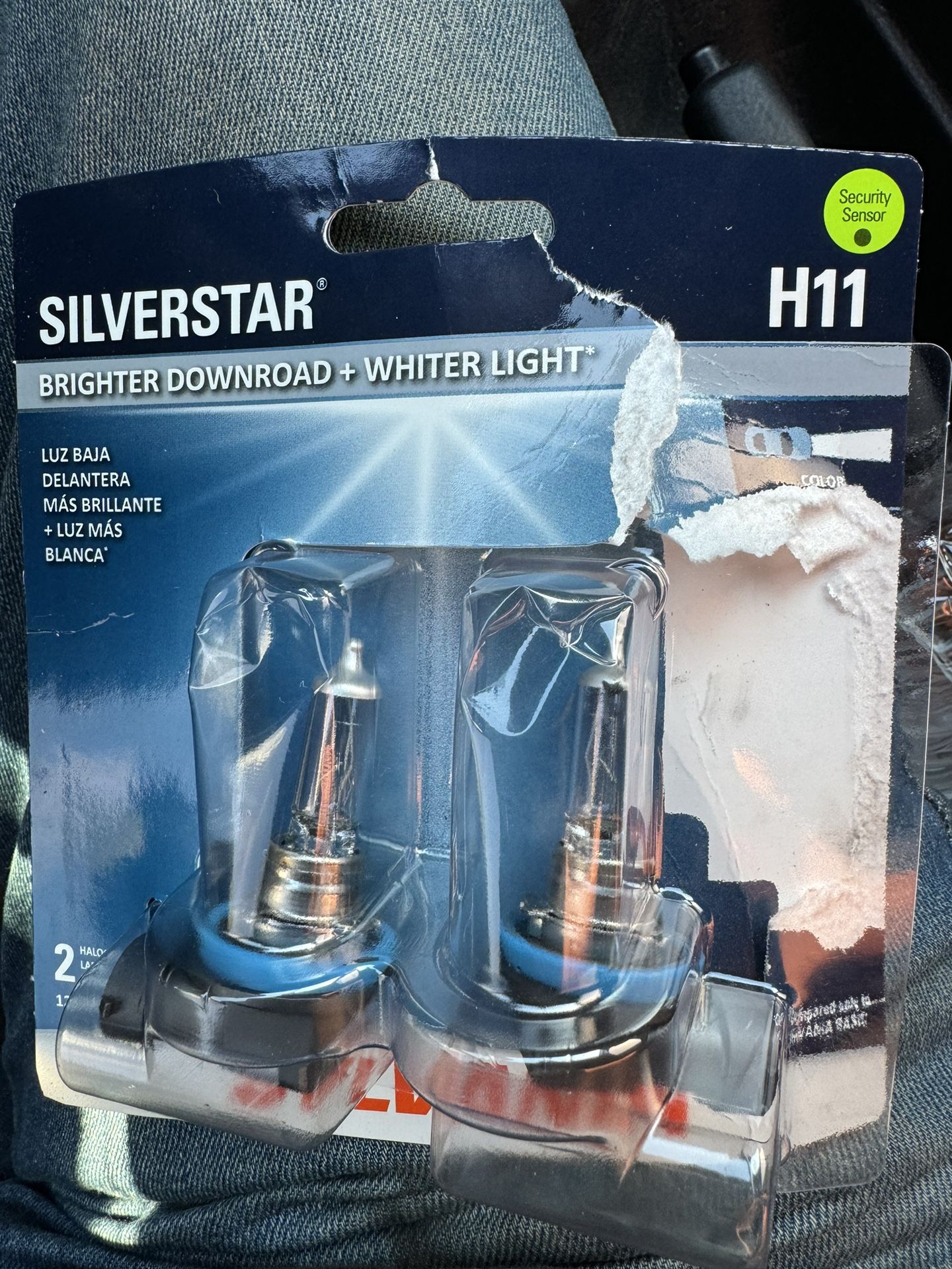 H11 Headlight Bulbs 