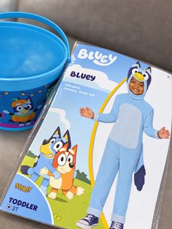 Bluey costume