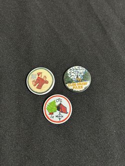 Camp Flog Gnaw Pins
