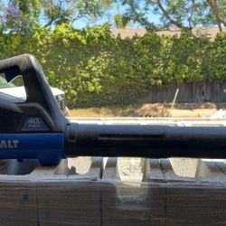 Kobalt Blower 
