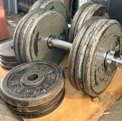 Adjustable dumbbell 150lbs