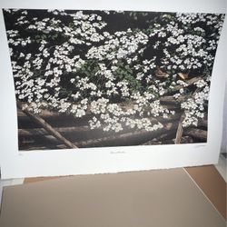 —Bob Timberlake “Pride in the Carolinas” 