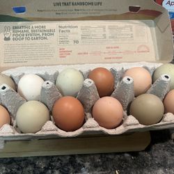 E-G-G-S!!! 6.00 Farm Fresh Organic Eggs