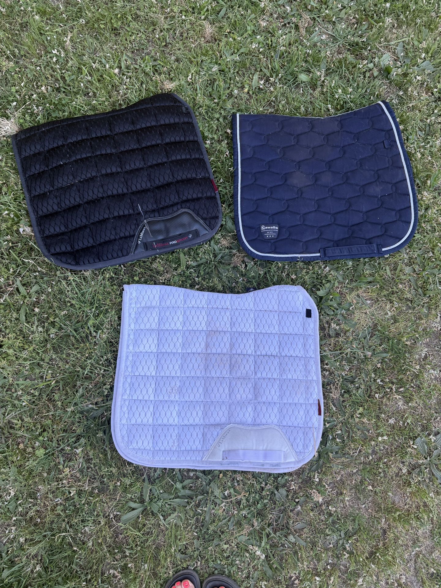 Saddle Pads!