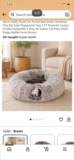 Cat tunnel