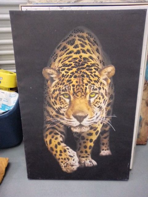 Eye Catcher Large Canvas Pic
