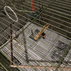 Portable Birdcage 