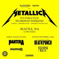 Metallica Two Day Passes (2)