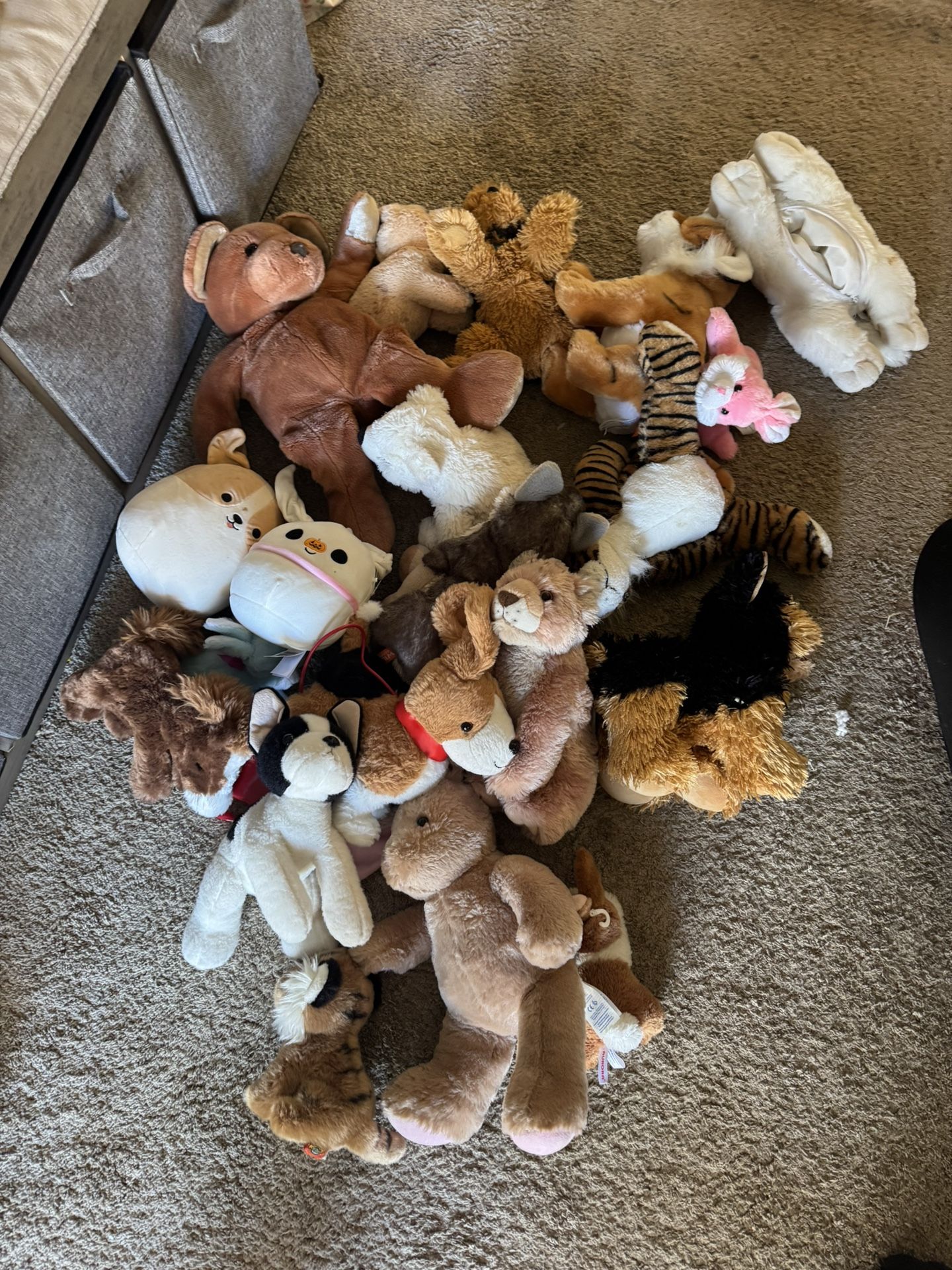 Various Stuffed Animals Plushies